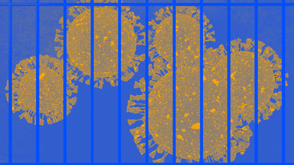 COVID cells behind prison bars