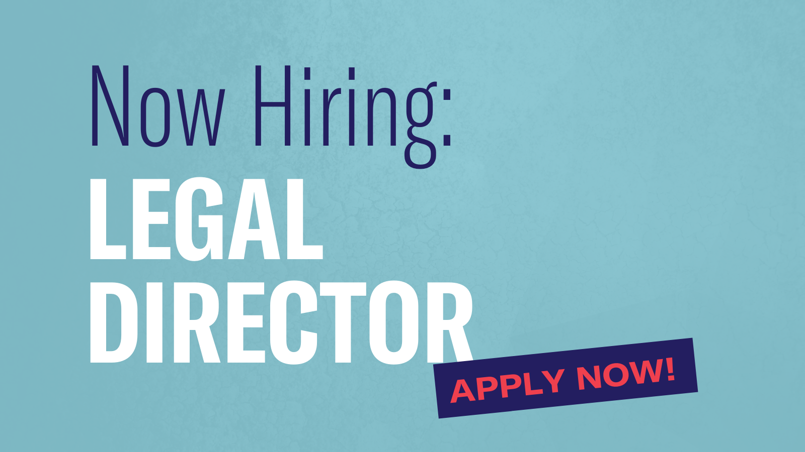 Now hiring: legal director. Apply now!