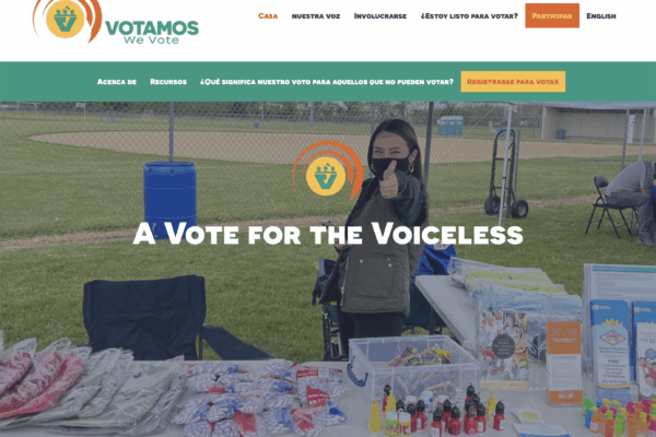 Screenshot of the Votamos We Vote website's homepage.