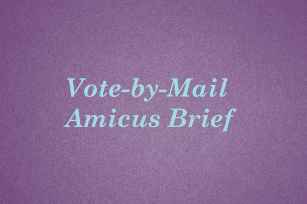 Vote-by-mail amicus brief
