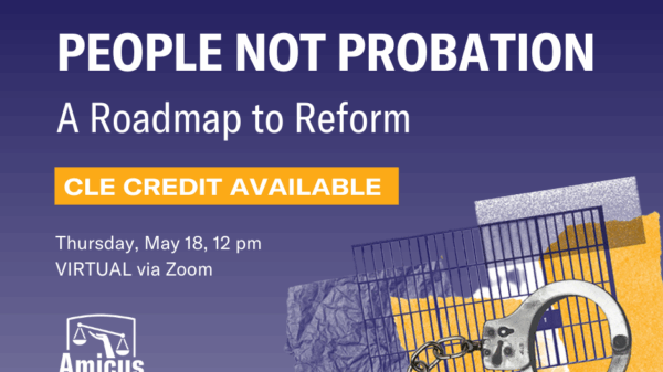 Probation CLE