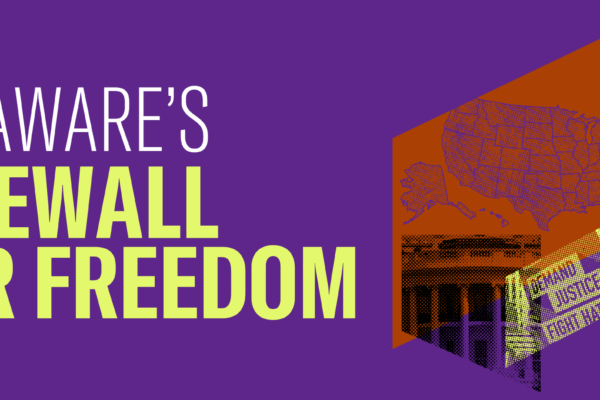 Delaware's Firewall for Freedom