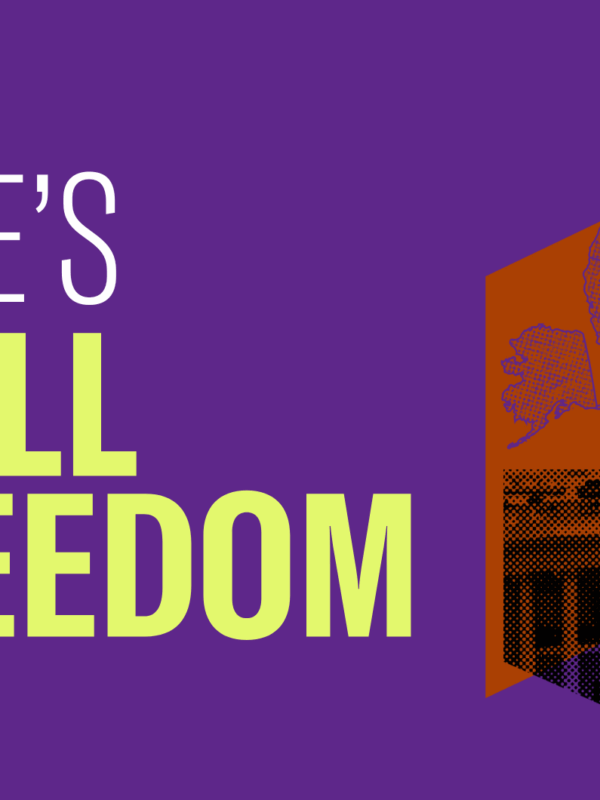 Delaware's Firewall for Freedom