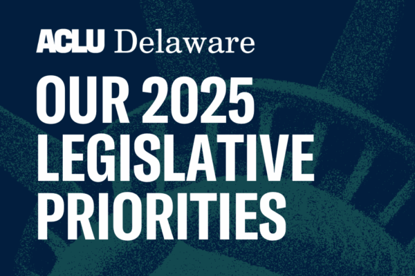 Text: Our 2025 Legislative Priorties. Image: Faded image of the Statue of Liberty Crown