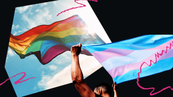 pride and trans flag collage