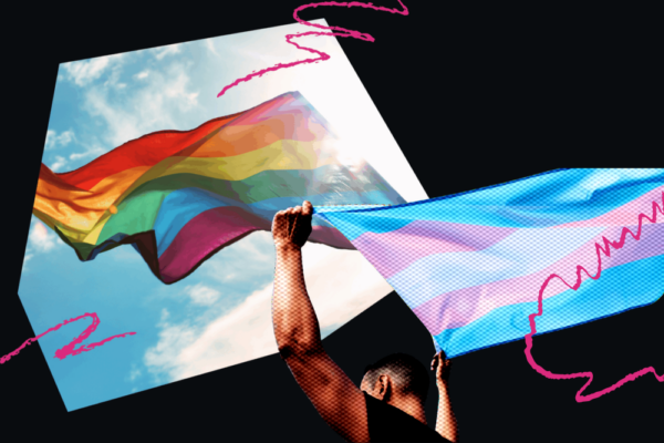 pride and trans flag collage