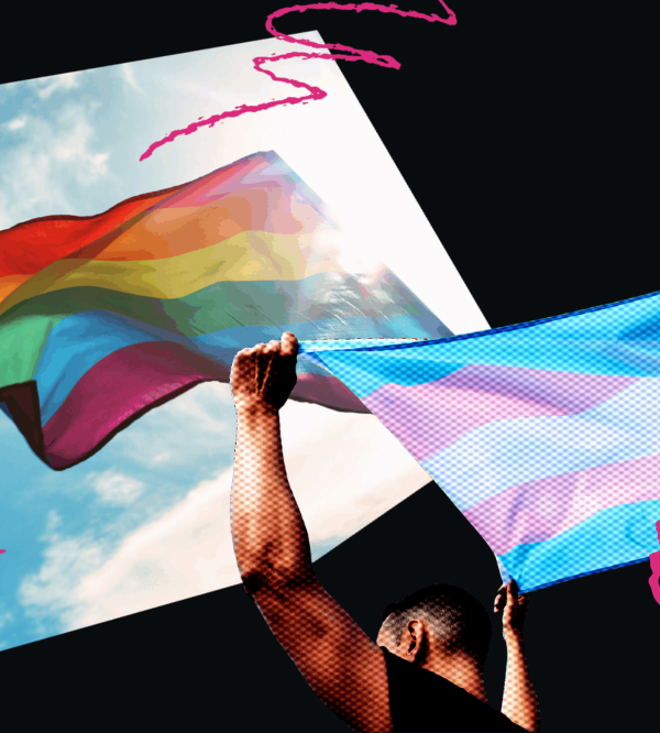pride and trans flag collage