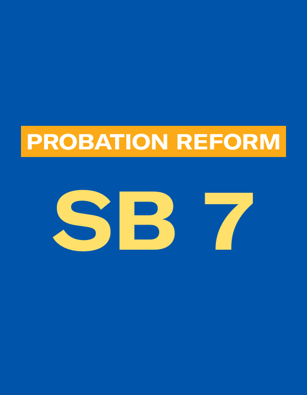 Senate Bill 7
