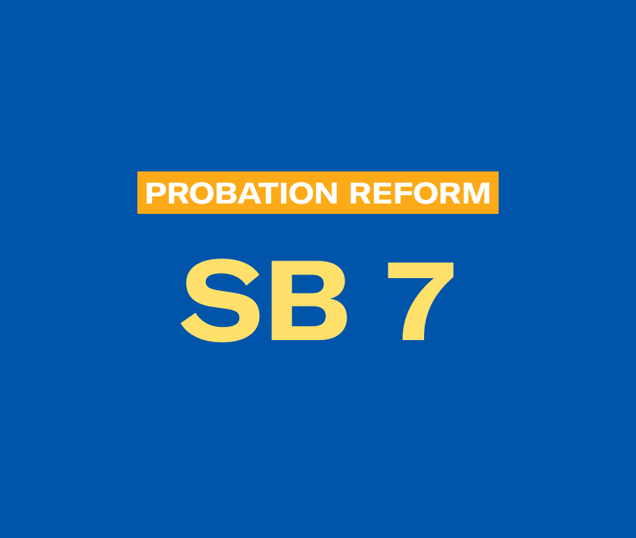 Senate Bill 7