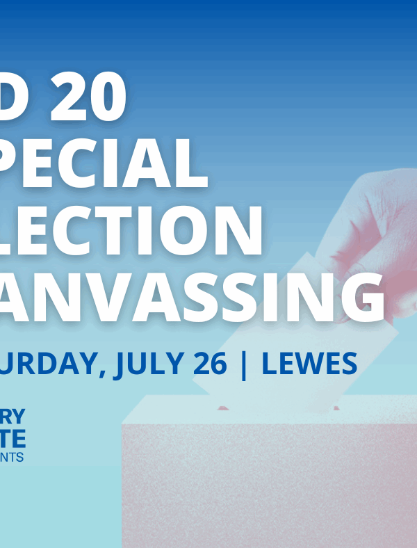 RD 20 Special Election Canvassing Lewes
