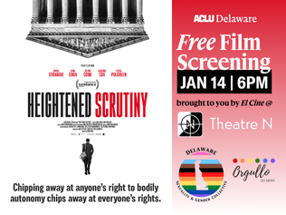 Picture of the Heightened Scrutiny movie poster