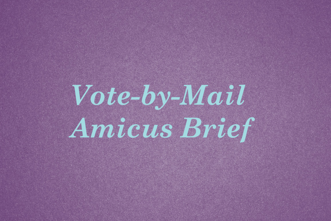Vote-by-mail amicus brief
