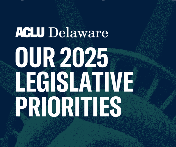 Text: Our 2025 Legislative Priorties. Image: Faded image of the Statue of Liberty Crown