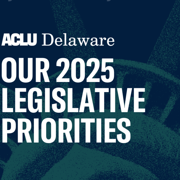 Text: Our 2025 Legislative Priorties. Image: Faded image of the Statue of Liberty Crown