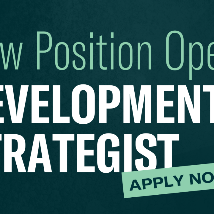 New Position Open: Development Strategist. Apply now!